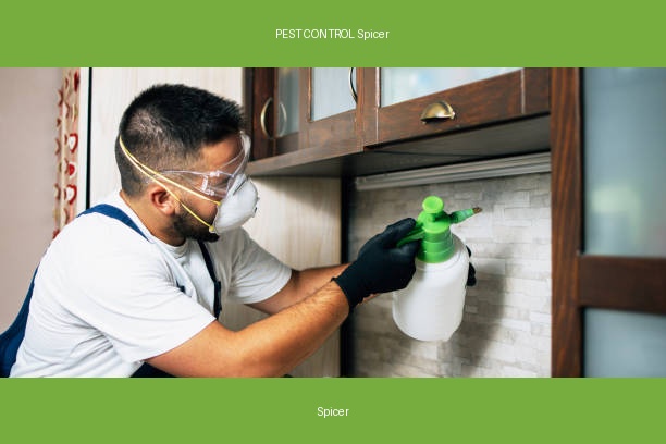 PEST CONTROL Spicer